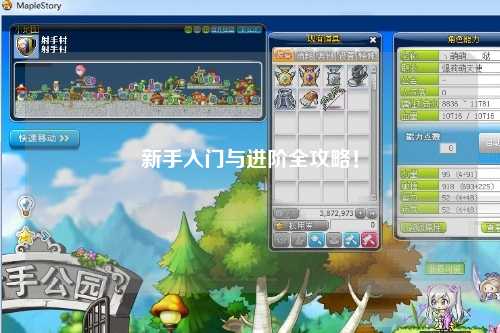 新手入门与进阶全攻略！