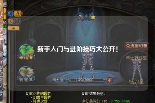 新手入门与进阶技巧大公开！
