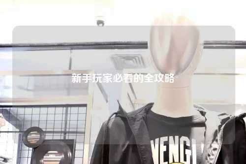 新手玩家必看的全攻略