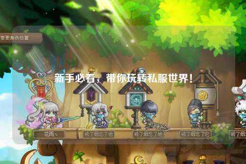 新手必看，带你玩转私服世界！