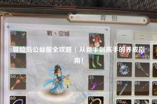 冒险岛公益服全攻略 | 从新手到高手的养成指南！