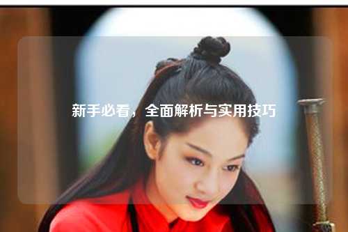 新手必看，全面解析与实用技巧