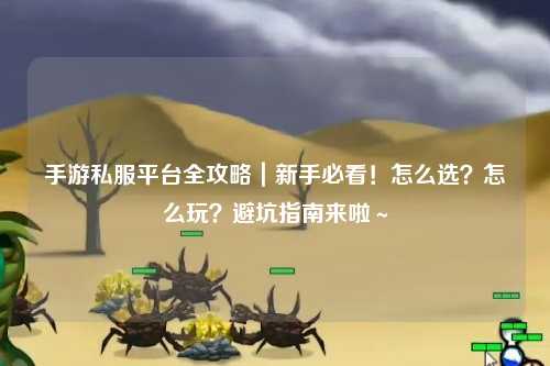 手游私服平台全攻略｜新手必看！怎么选？怎么玩？避坑指南来啦～