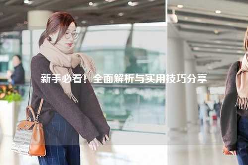 新手必看！全面解析与实用技巧分享