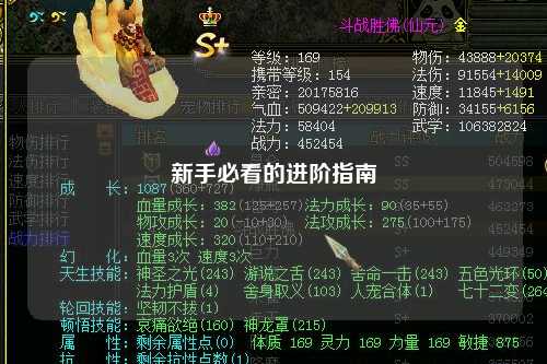 新手必看的进阶指南