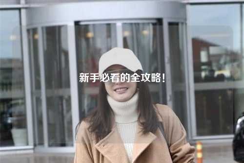 新手必看的全攻略！