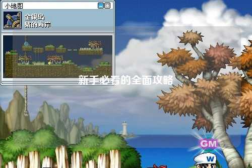 新手必看的全面攻略