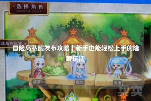 冒险岛私服发布攻略｜新手也能轻松上手的隐藏玩法