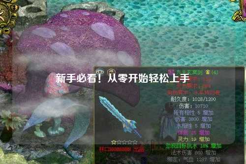 新手必看！从零开始轻松上手