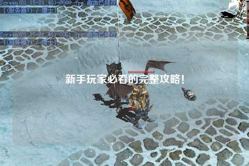 新手玩家必看的完整攻略！
