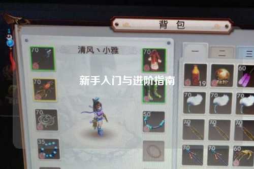 新手入门与进阶指南