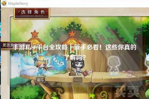 手游私SF平台全攻略|新手必看!这些你真的了解吗?