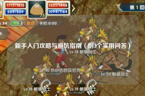 新手入门攻略与避坑指南（附3个实用问答）