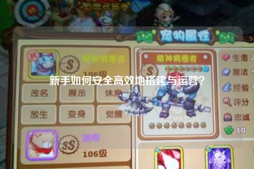 新手如何安全高效地搭建与运营？